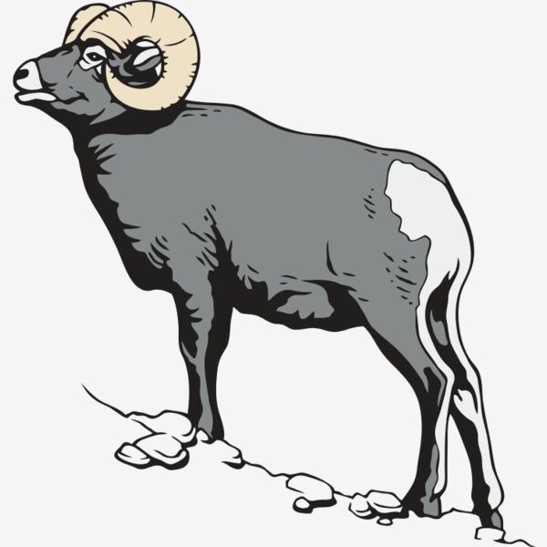 BighornSheep01NC2clr Thumbnail