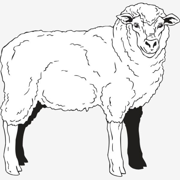 SHEEP2 Thumbnail