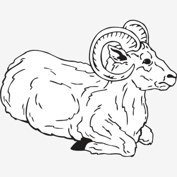 RAM2 Thumbnail