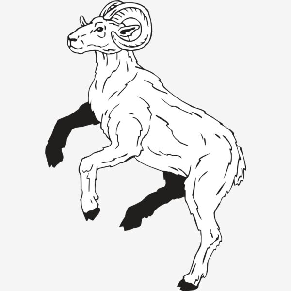 RAM Thumbnail