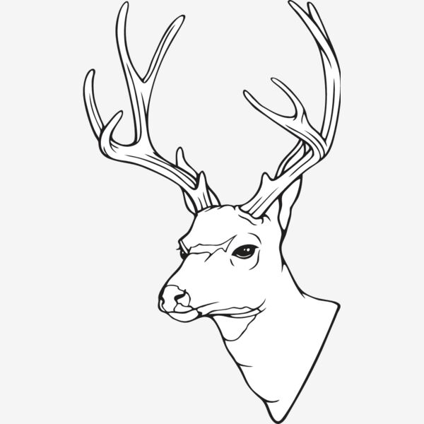 MuleDeer01NC2bw Thumbnail