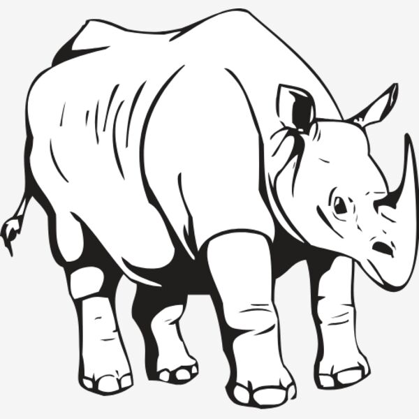 RHINO Thumbnail