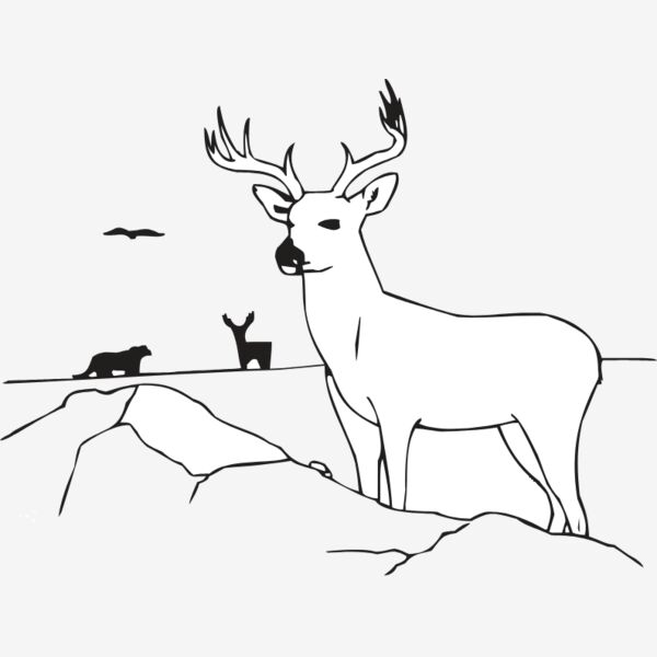 DEER Thumbnail