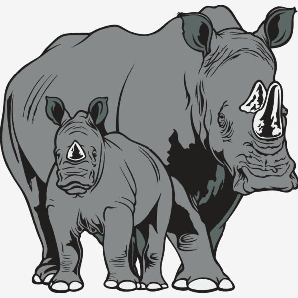 WhiteRhino1NC2clr Thumbnail