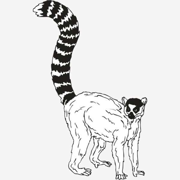 LEMUR2 Thumbnail