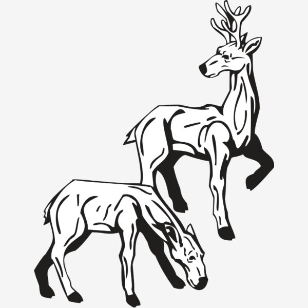 DEER4 Thumbnail