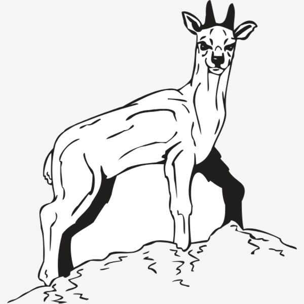 DEERY Thumbnail