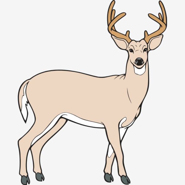 WTDeer02NC2clr Thumbnail