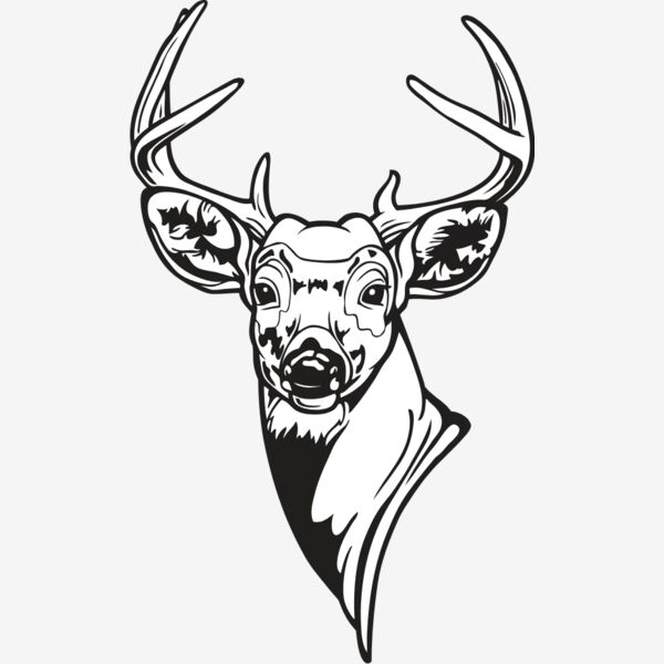WTDeer1NC2bw Thumbnail