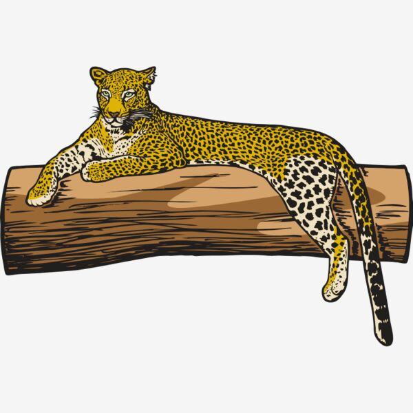 Leopard1NC2clr Thumbnail