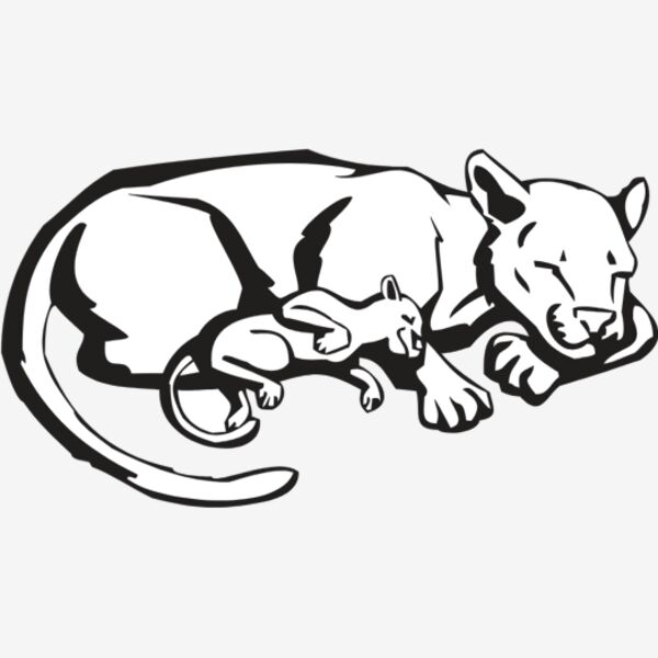 SLTIGERS Thumbnail