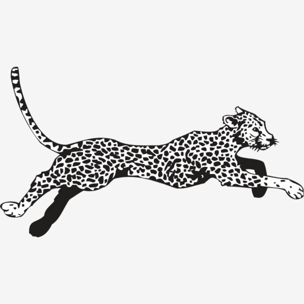 CHEETAH Thumbnail