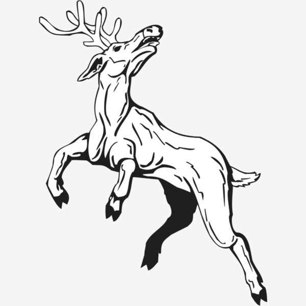 REINDEER Thumbnail
