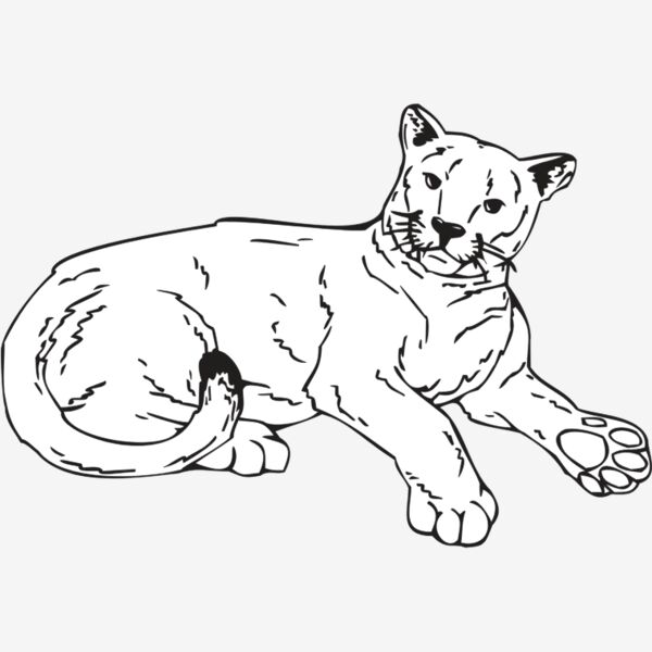 COUGAR1 Thumbnail