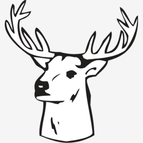 DEERFACE Thumbnail