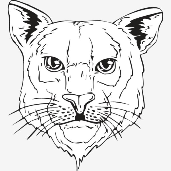 BCAT Thumbnail