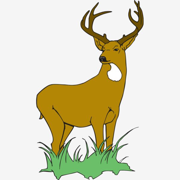 Muledeer 2 Thumbnail