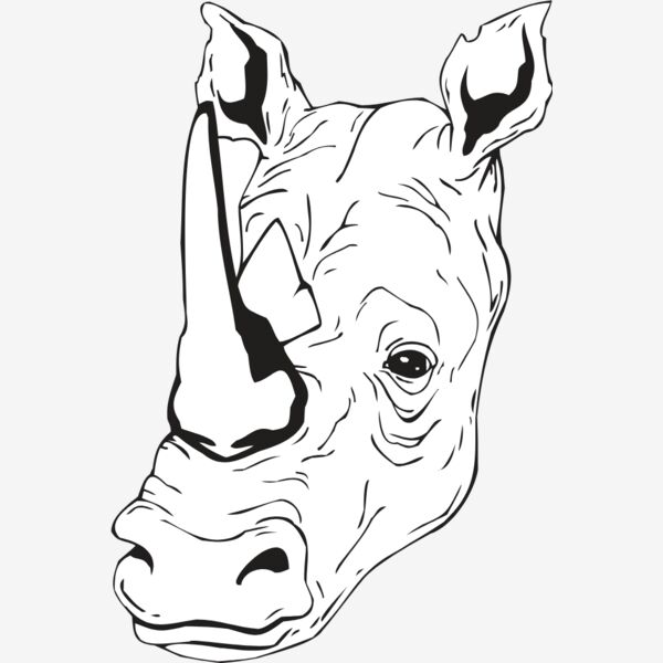 RHINOHD Thumbnail
