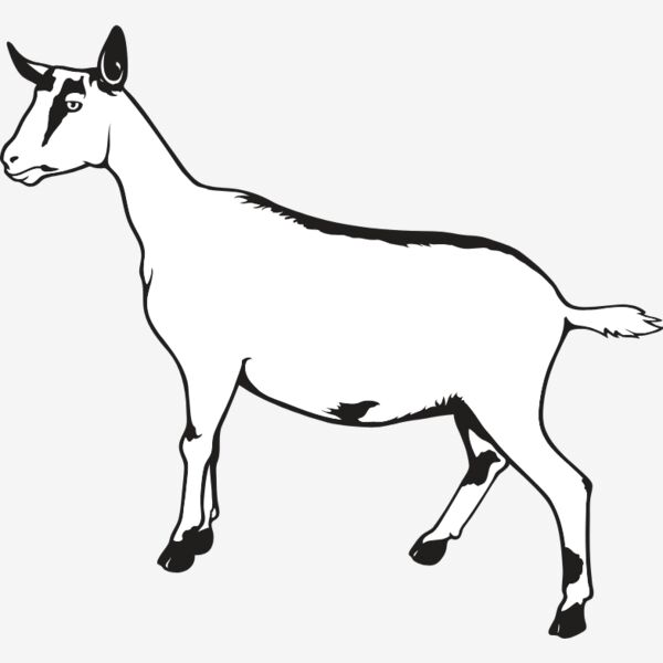 AlpineDoe01NC2bw Thumbnail