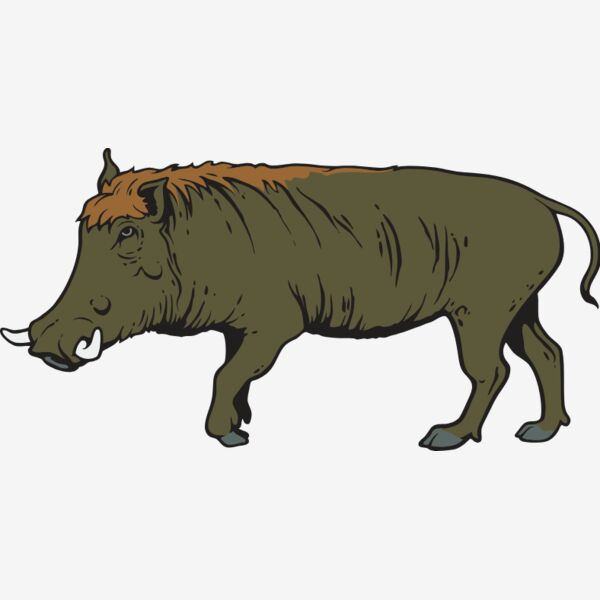 Boar01NC2clr Thumbnail