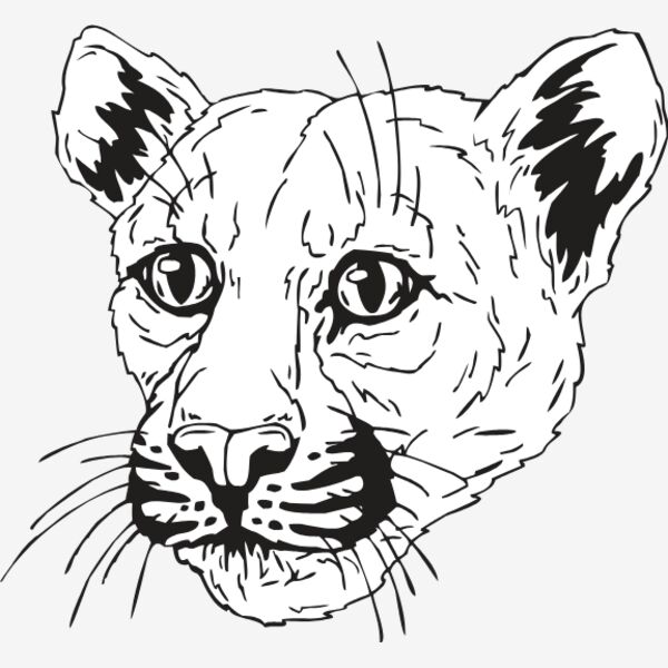 COUGAR2 Thumbnail