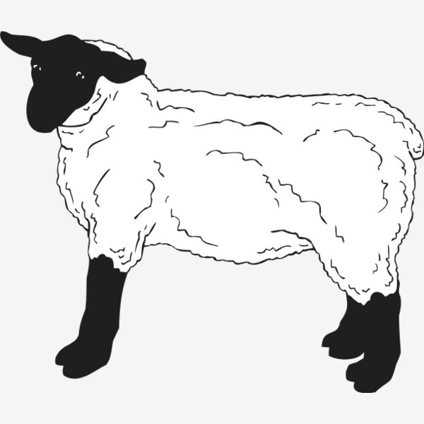SHEEP3 Thumbnail