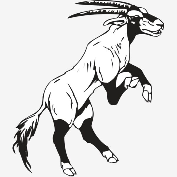 RAM3 Thumbnail