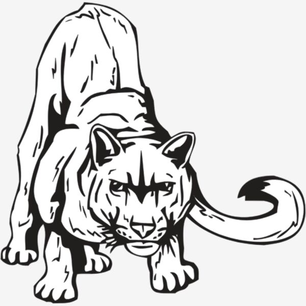 COUGAR4 Thumbnail