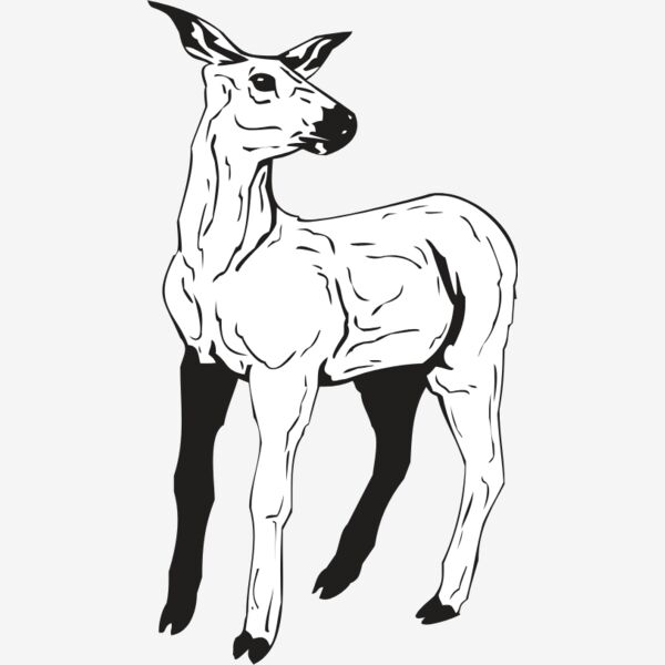 DEER3 Thumbnail