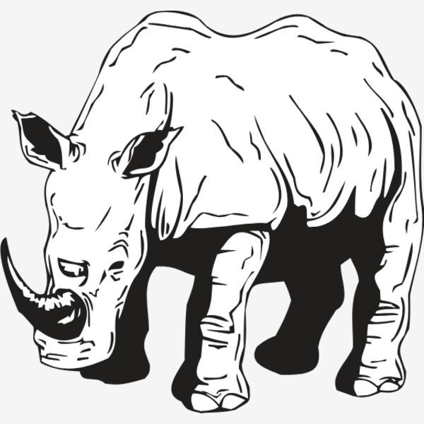 RHINO2 Thumbnail