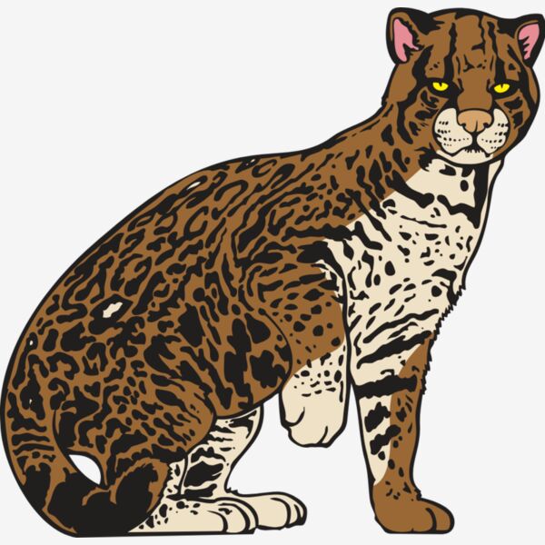 Ocelot01NC2clr Thumbnail