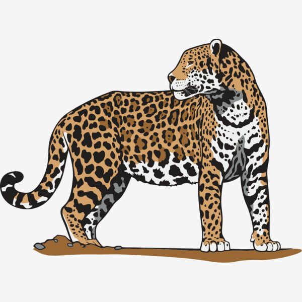 Jaguar01NC2clr Thumbnail