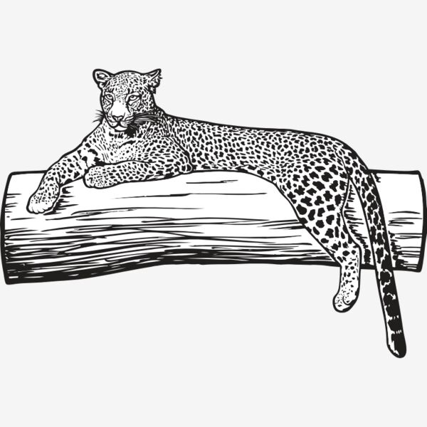 Leopard1NC2bw Thumbnail