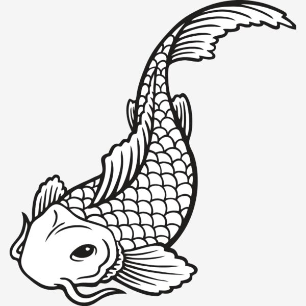 ES2asiankoi001BW Thumbnail