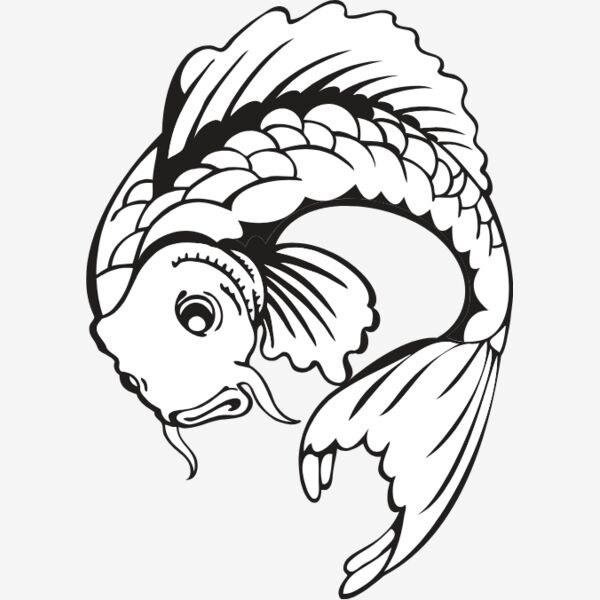 es3asiankoi10bw Thumbnail