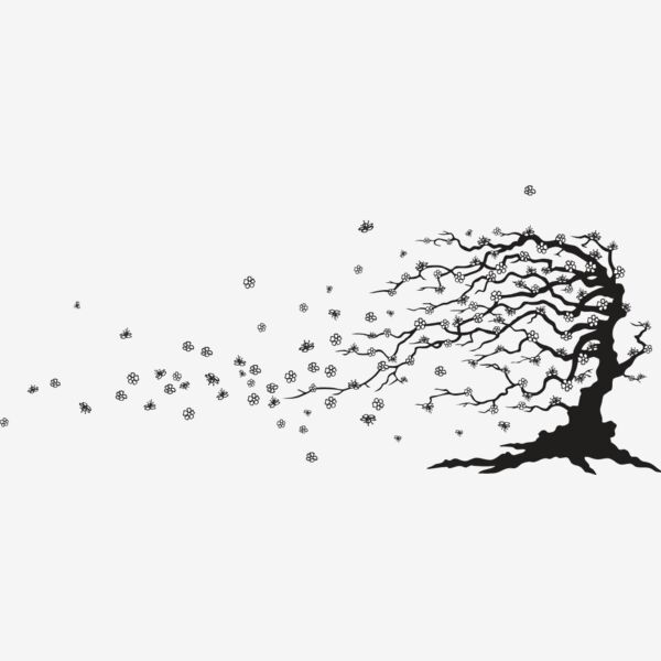 EScherrytree01BW Thumbnail