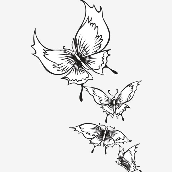 ES2butterfly004bw Thumbnail