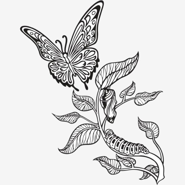 ES3butterfly05bw Thumbnail