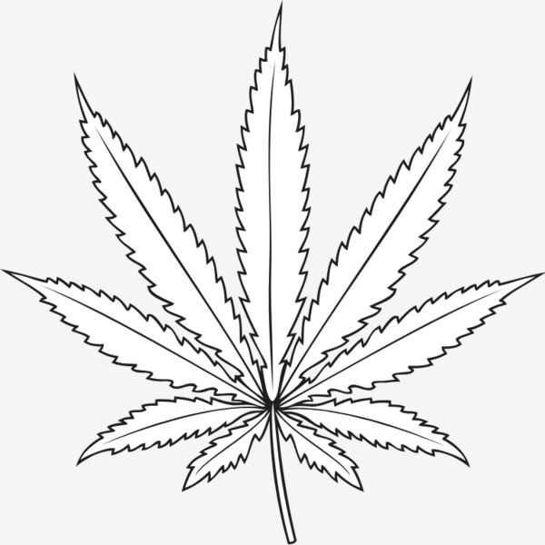 Potleaf01NC2bw Thumbnail