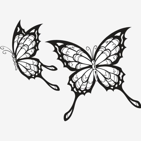 ES2butterfly002bw Thumbnail