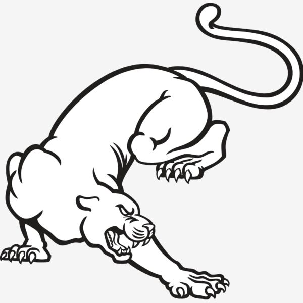 ES3panther02bw Thumbnail