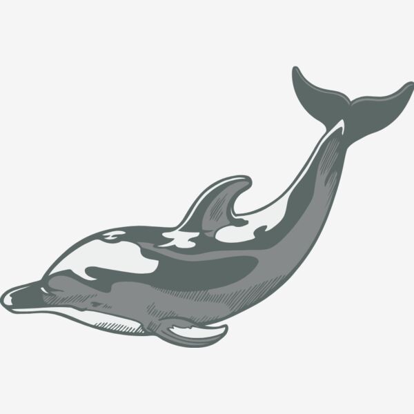 Dolphin01V4clr Thumbnail