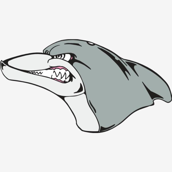dolphinhead Thumbnail