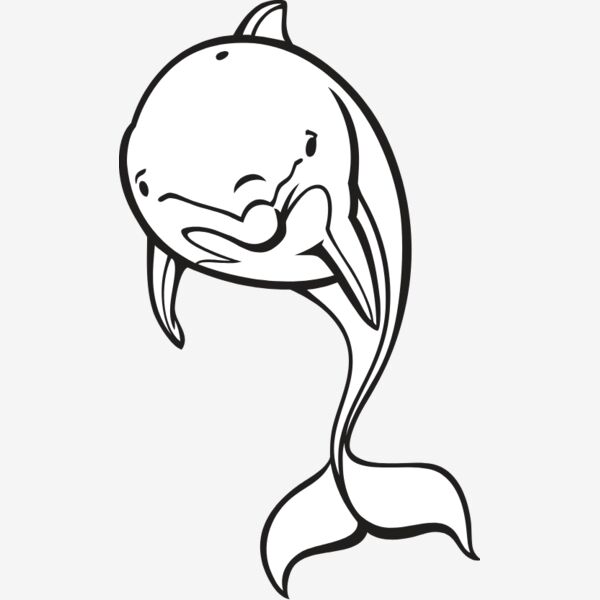 Dolphin03V4bw Thumbnail