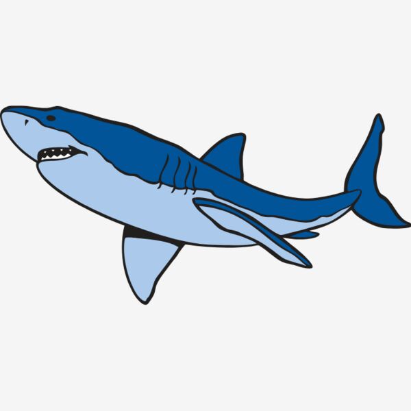 shark17 Thumbnail