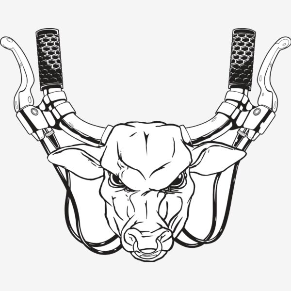 BIKEBULL Thumbnail