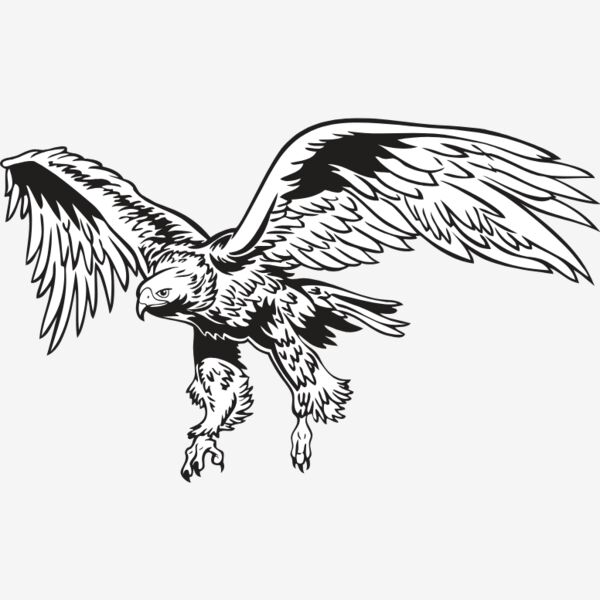 Eagles Thumbnail