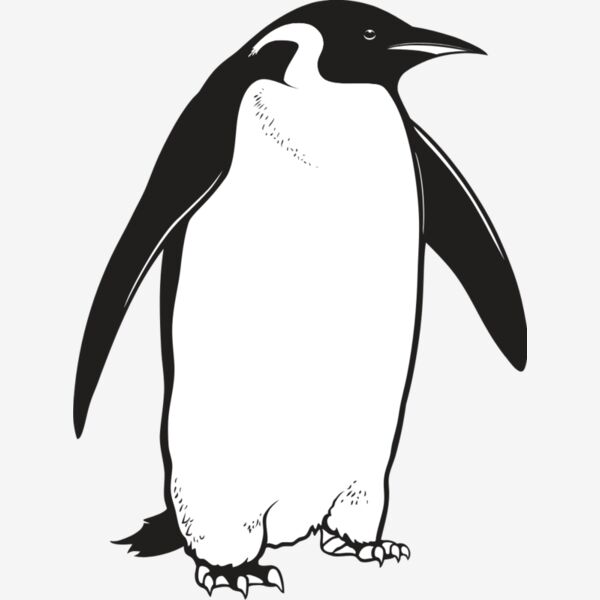 Penguin Thumbnail